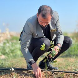 #استمرار حملة السيدة رئيس الجامعة التقنية الشمالية #شجر وتحت شعار "اغرس شجرة لتكسب صدقة" ولليوم الثامن والعشرون والتي نظمتها الكلية التقنية الحويجة .